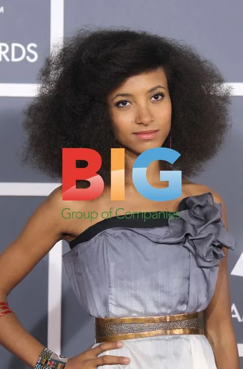 Esperanza Spalding at 54th GRAMMY Awards