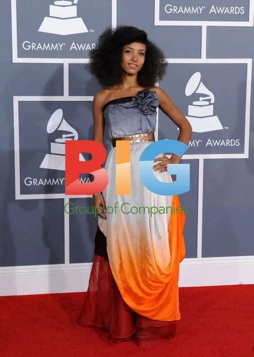 Esperanza Spalding at 54th Grammy Awards