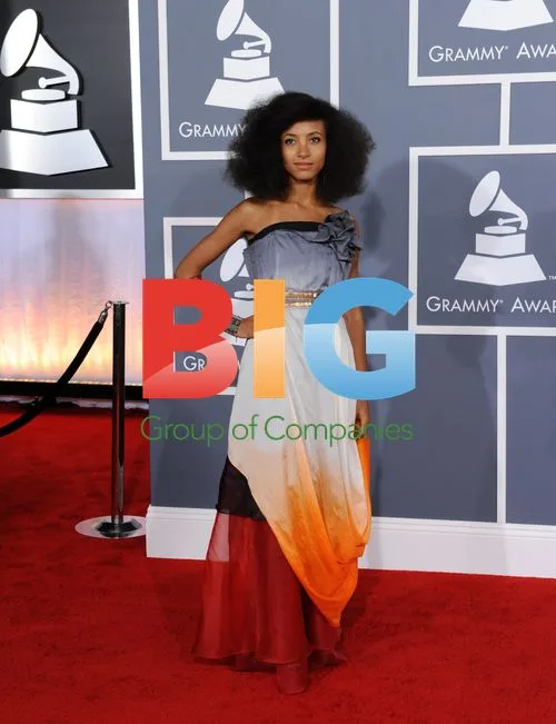 Esperanza Spalding at 54th Grammy Awards