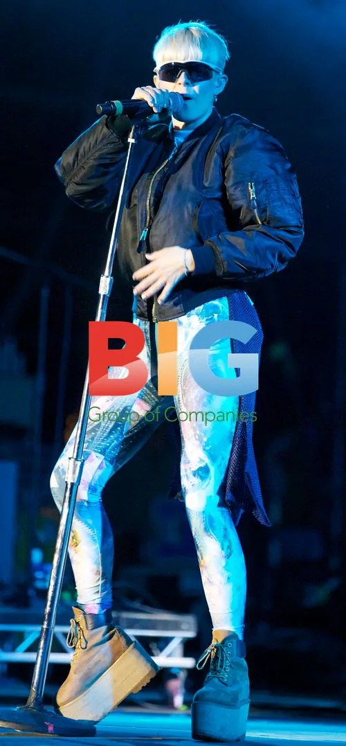Robyn Performs at Bestival