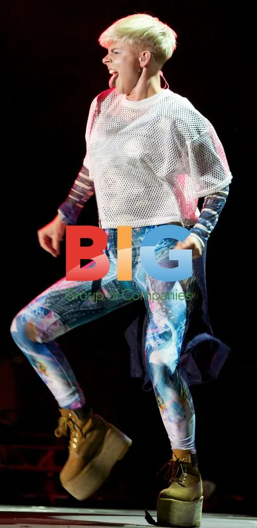 Robyn Performs at Bestival
