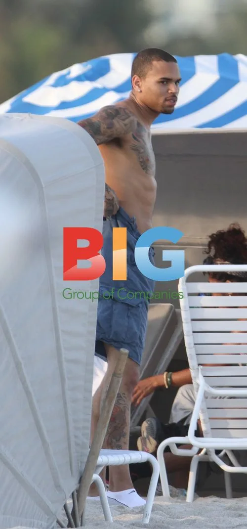 Chris Brown Attacked by Seagull on Miami Beach
