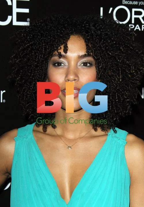 Annie Ilonzeh at ESSENCE Black Women in Hollywood Luncheon