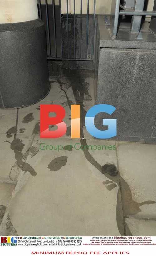 Ed Sheeran caught short outside BRIT Awards