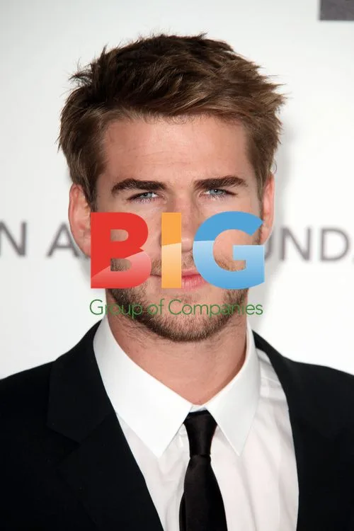 Liam Hemsworth at Elton John AIDS Foundation Party