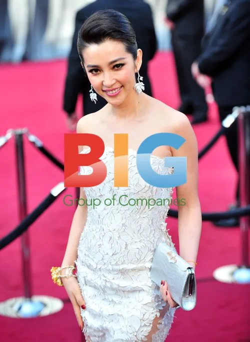 Li Bingbing at 84th Oscars