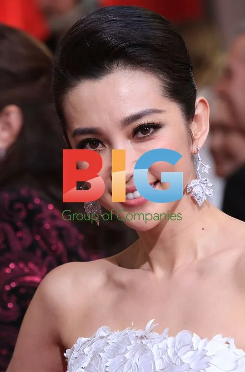 Li Bing Bing at 84th Academy Awards