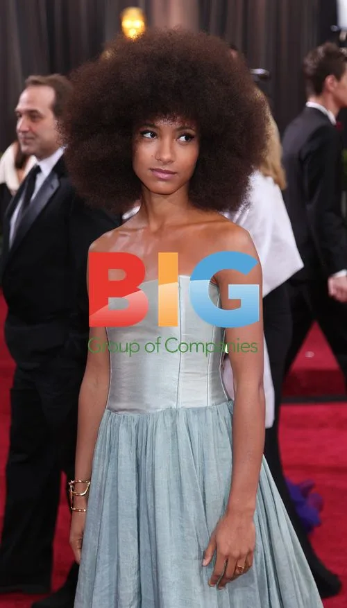 Esperanza Spalding Oscars Arrival