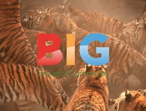 Siberian Tigers Fed at Harbin Park