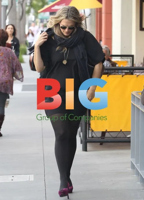 Pregnant Molly Sims Leaves Restaurant