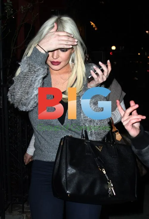 Lindsay Lohan Dinner in NYC