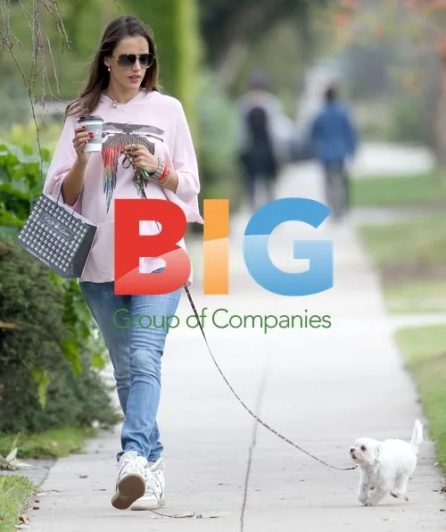 Pregnant Alessandra Ambrosio walks dog in Santa Monica