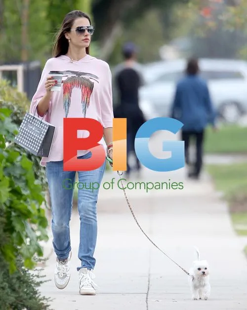 Alessandra Ambrosio Walks Dog