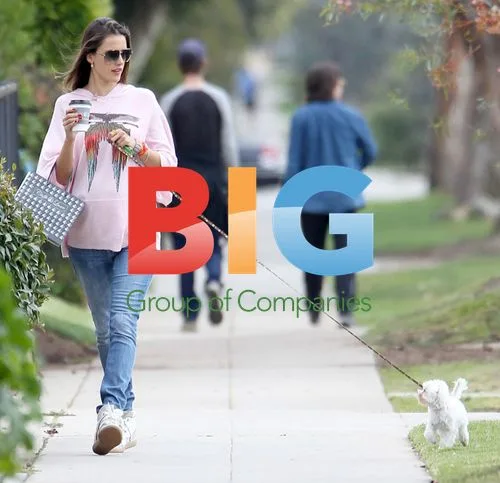Pregnant Alessandra Ambrosio Walks Dog