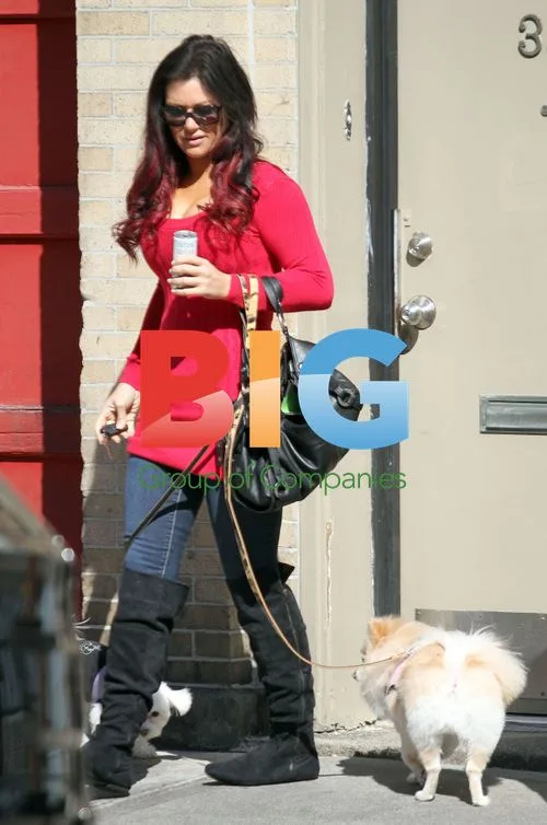 Jenni 'JWOWW' Farley walks dogs in New Jersey