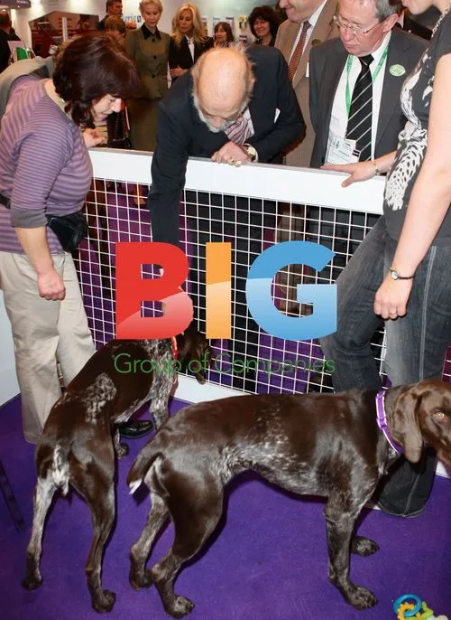Prince Michael of Kent at Crufts 2012