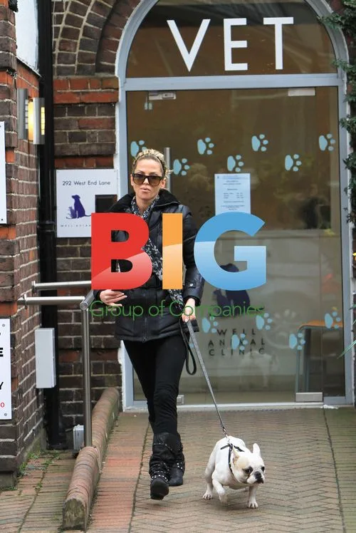 Sarah Harding Takes Dogs to Vet in London