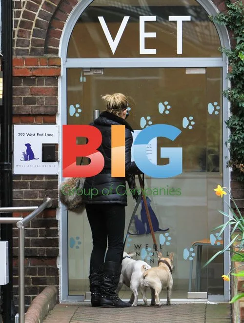 Sarah Harding Walks Dogs to Vet in London