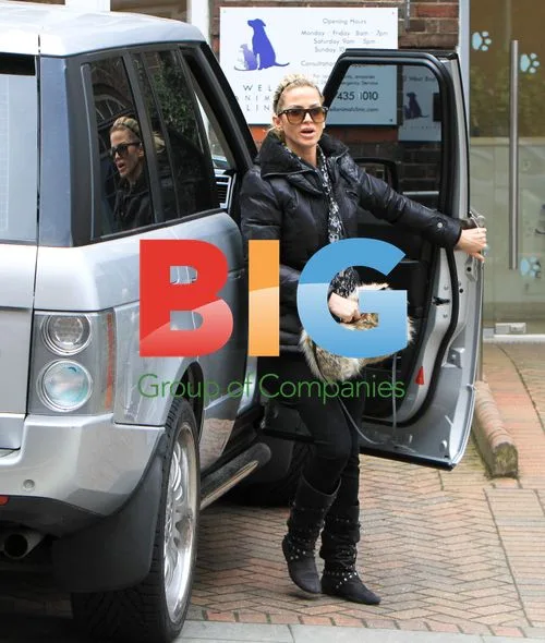 Sarah Harding Takes Dogs to Vet in London