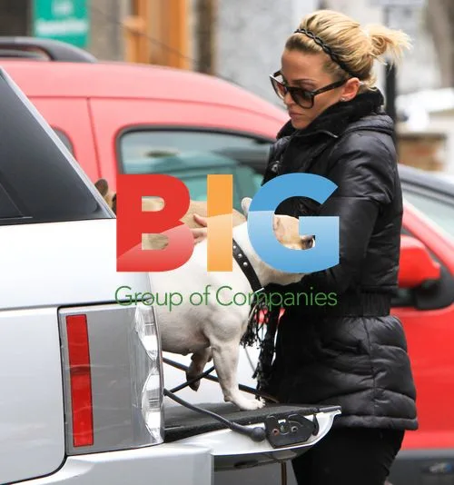 Sarah Harding Takes Dogs to Vet