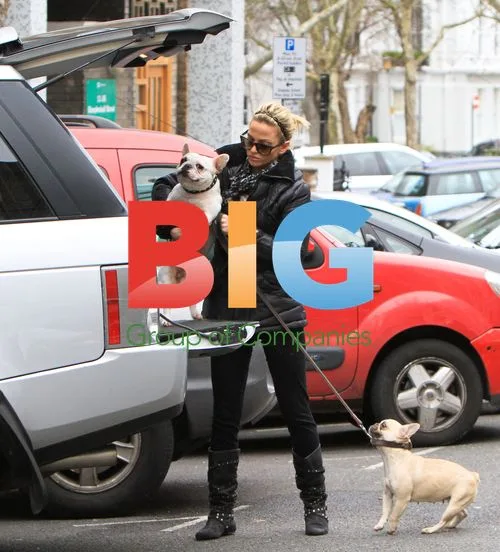 Sarah Harding Takes Dogs to Vet in London