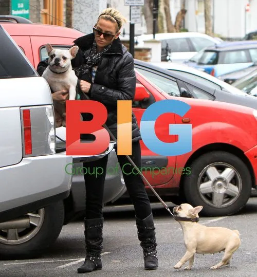 Singer Sarah Harding with Dogs at Vet in London