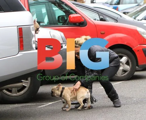 Sarah Harding Takes Dogs to Vet