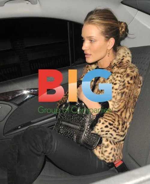 Rosie Huntington-Whiteley Dinner in London