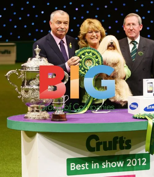 Mrs Anderson's Lhasa Apso Wins Best in Show at Crufts 2012
