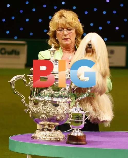 Mrs. Anderson and 'Elizabeth' Lhasa Apso at Crufts 2012