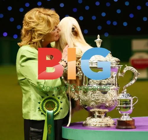 Mrs Anderson and 'Elizabeth' Winning Crufts 2012
