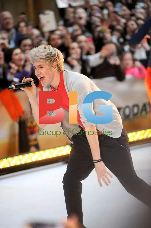 One Direction Performs on 'Today' Show