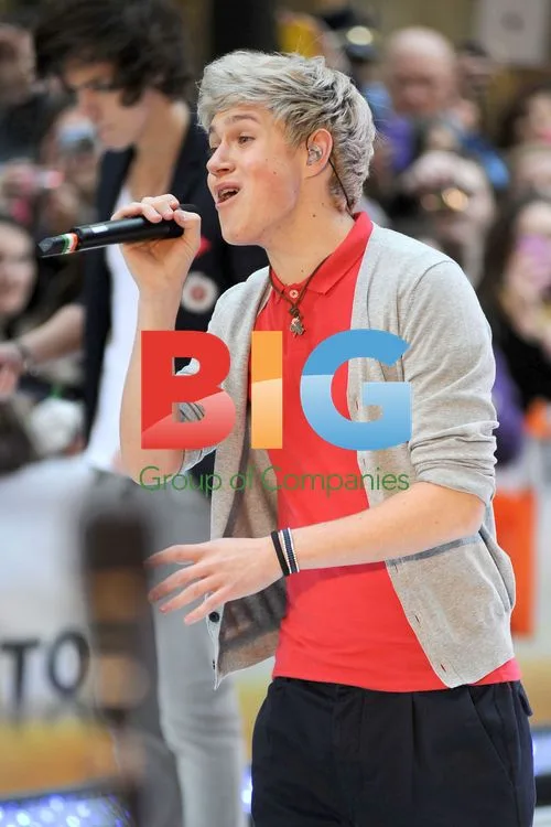 One Direction Performs on 'Today' Show
