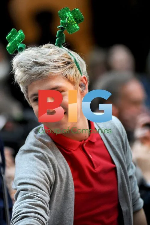 One Direction Performs on Today Show