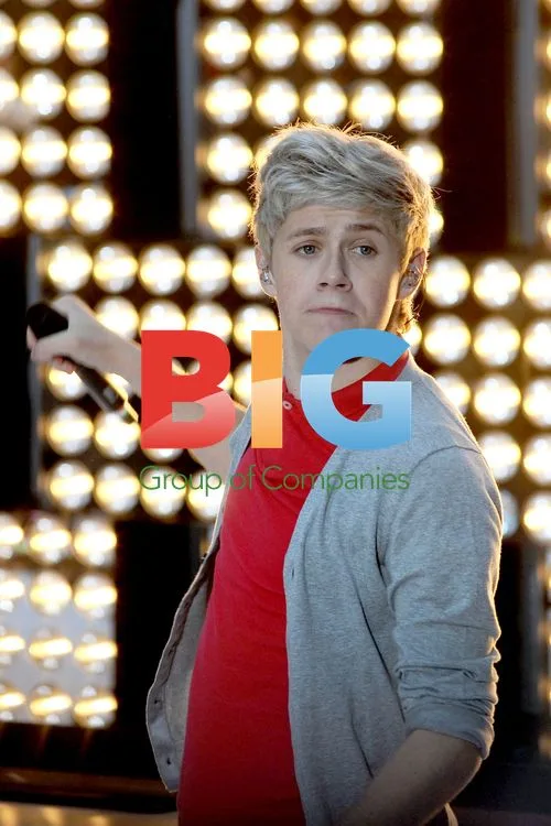 One Direction Performs on Today Show