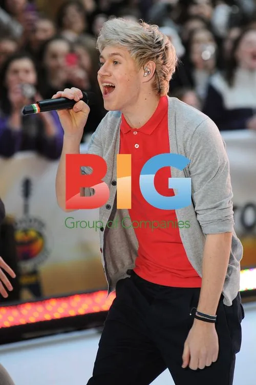 One Direction Performs on Today Show