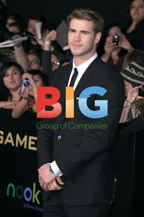 Liam Hemsworth at 'The Hunger Games' Premiere