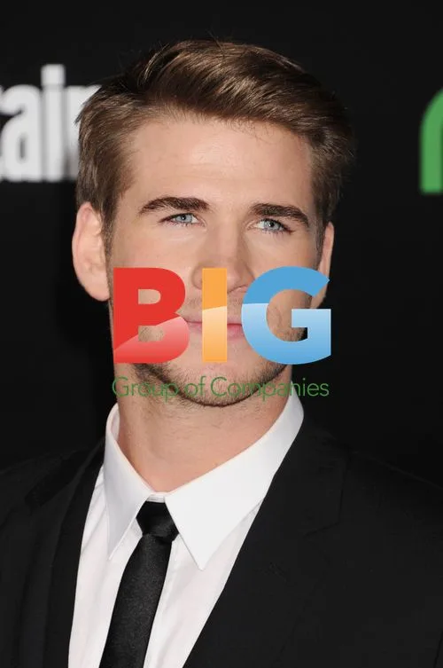 Liam Hemsworth at 'The Hunger Games' Premiere
