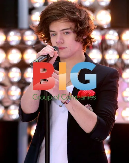 One Direction at Today Show Concert
