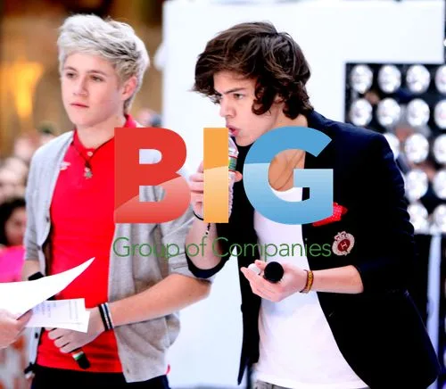 One Direction Performs at Today Show