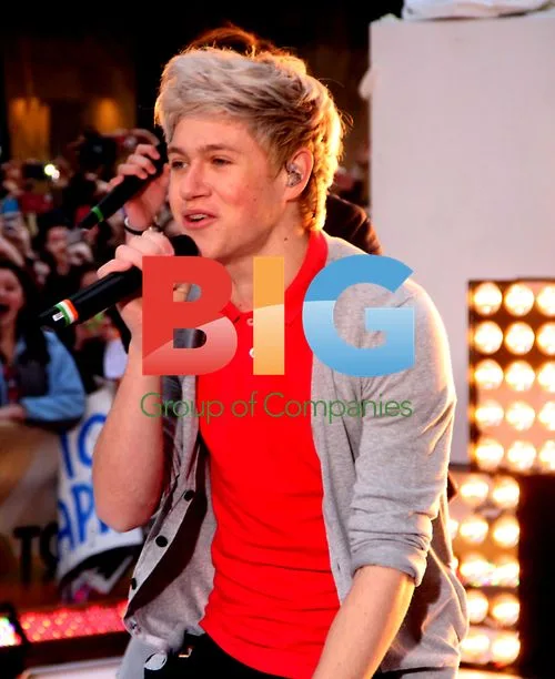 One Direction Performs at Today Show