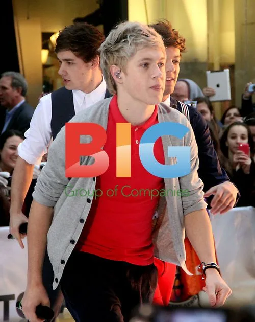 One Direction Performs at Today Show