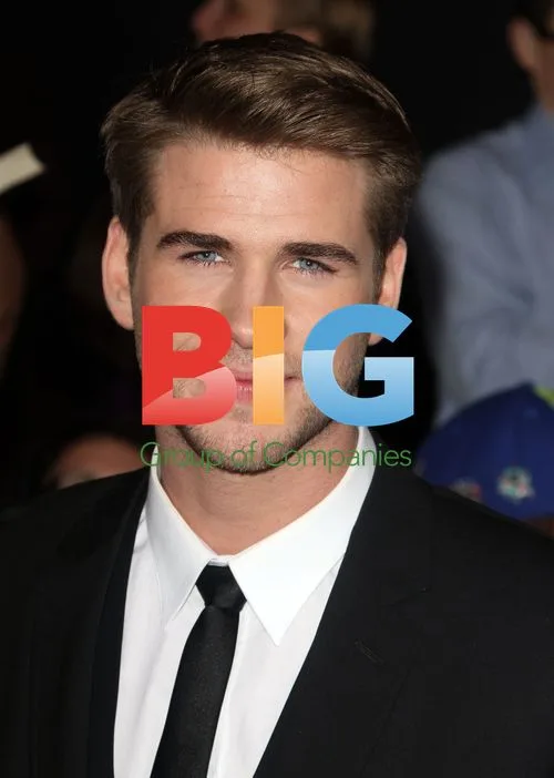 Liam Hemsworth at The Hunger Games Premiere