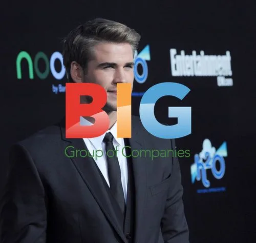 Liam Hemsworth at "The Hunger Games" Premiere