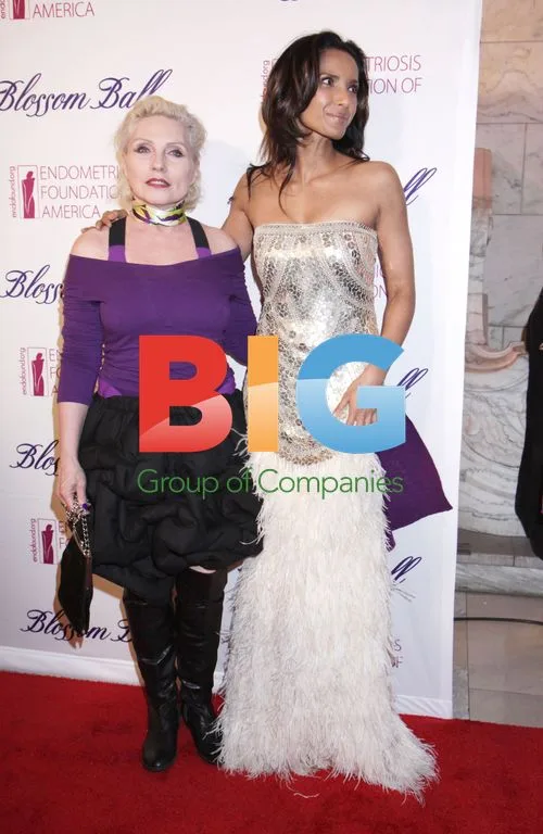 Celebrities at Endometriosis Foundation Blossom Ball