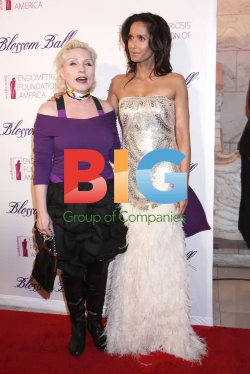 Celebrities at Endometriosis Foundation Blossom Ball
