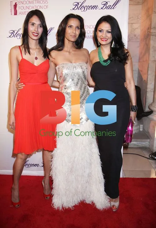 Celebrities at Endometriosis Foundation Blossom Ball