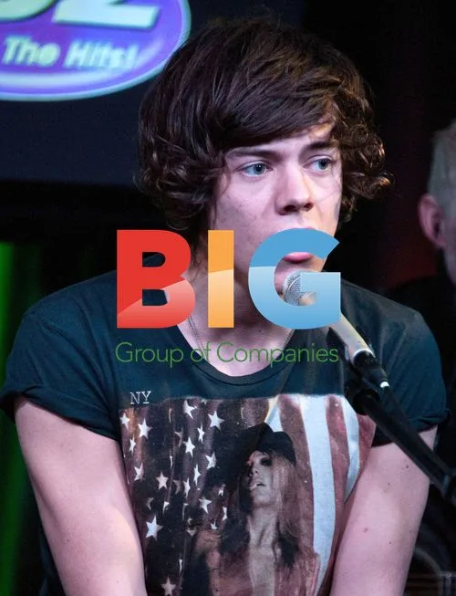 One Direction Concert Performance