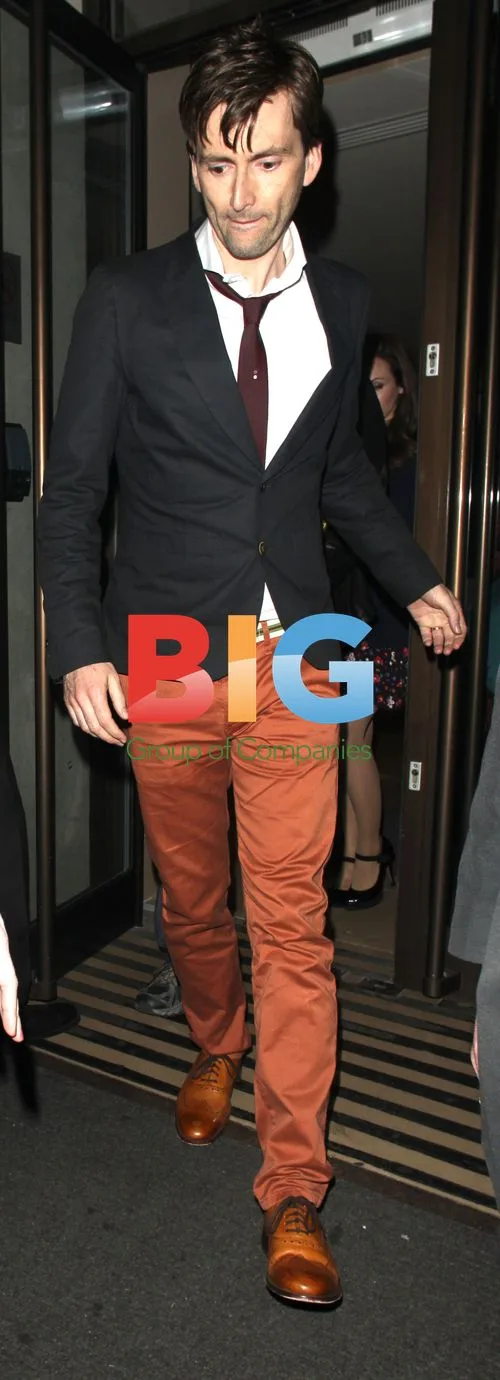 David Tennant at The Pirates! Premiere