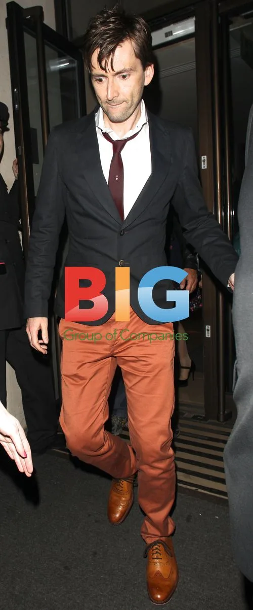 David Tennant at The Pirates! Premiere